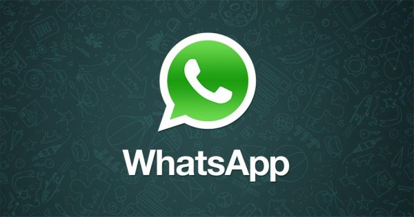 Новая функция WhatsApp: Юзеры узнают, какую информацию о них собирает мессенджер