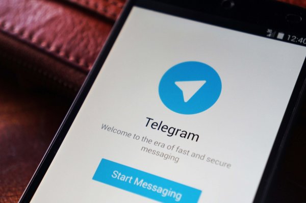 В Роскомнадзоре оценили шансы на полную блокировку Telegram
