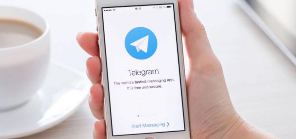 Telegram в России могут разблокировать уже через месяц