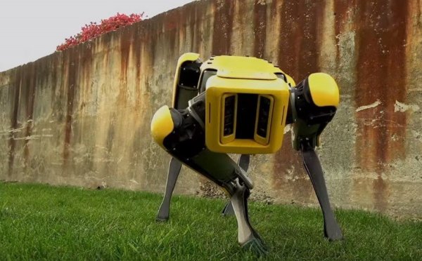 Boston Dynamics начнет продавать роботов-собак в 2019 году