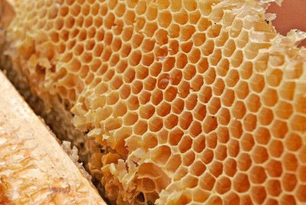 Учёные разработали особый фильтр по принципу медовых сот