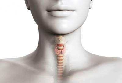 Названы возможные признаки проблем со щитовидкой