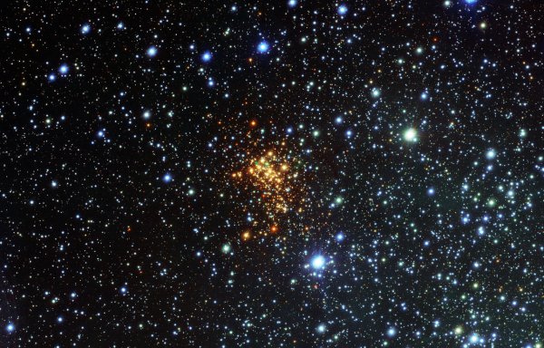 Учёные поведали, сколько «мёртвых звёзд» находится вокруг Солнца