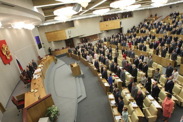 В Госдуме РФ приняли закон о контрсанкциях