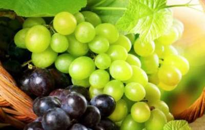 Ученые рассказали, почему нужно есть виноград