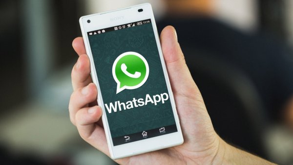 Лайфхак поможет прочитать удалившиеся оповещения в WhatsApp