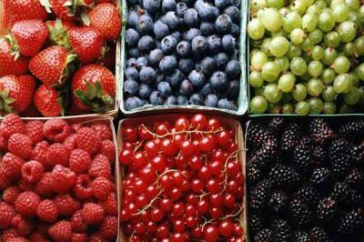 Названы основные недостатки популярных ягодных диет