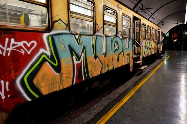 В Барселоне голые художники-вандалы разрисовали вагон метро