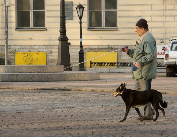 За отказ пустить инвалида с собакой кафе на Камчатке оштрафовали