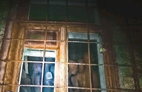 В Ростове поздно ночью увидели в доме группу «зомби»