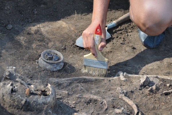 В Оренбургской области найдено древнее захоронение