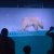 National Geographic рассказал, что случилось с самым грустным полярным медведем