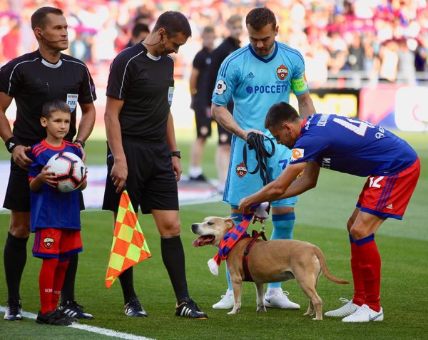 Капитаны ЦСКА и «Арсенала» вышли на поле перед игрой с собаками