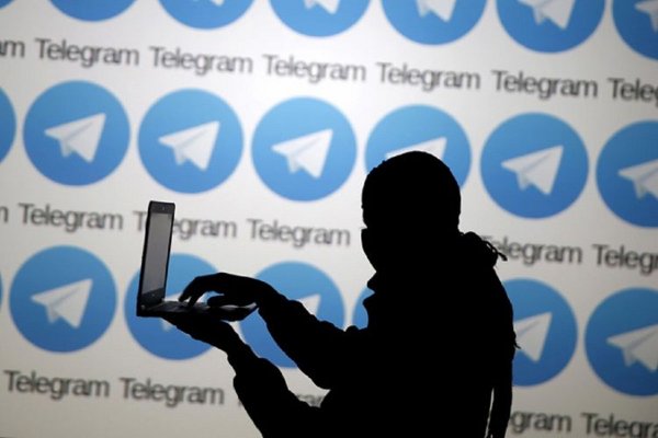 В версии Telegram для ПК заметили утечку данных из-за бага